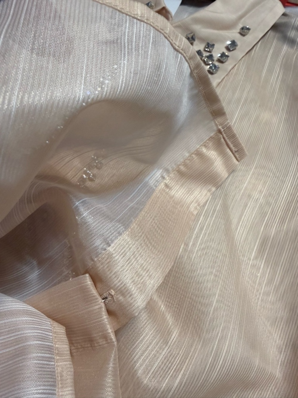 Sheer Puff-Sleeve Blouse with Crystal-Trim Collar - Blush - Picture 4 of 4